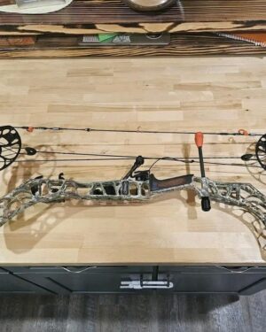 Mathews v3 31